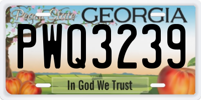 GA license plate PWQ3239