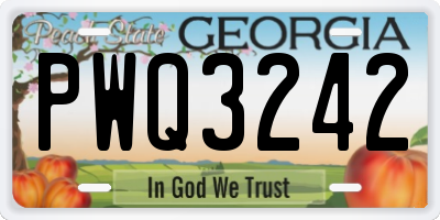 GA license plate PWQ3242
