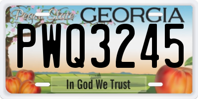 GA license plate PWQ3245