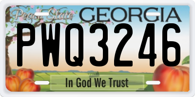 GA license plate PWQ3246