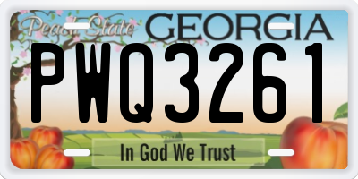 GA license plate PWQ3261