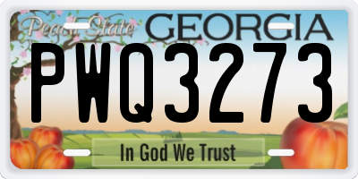 GA license plate PWQ3273