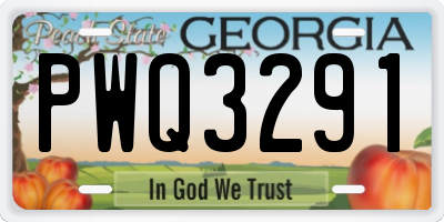 GA license plate PWQ3291