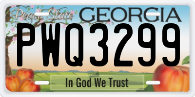 GA license plate PWQ3299