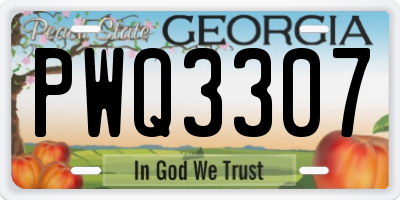 GA license plate PWQ3307