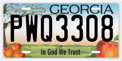 GA license plate PWQ3308