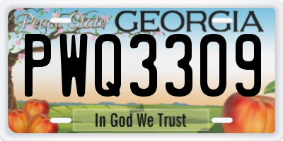GA license plate PWQ3309