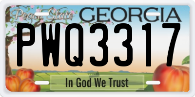 GA license plate PWQ3317