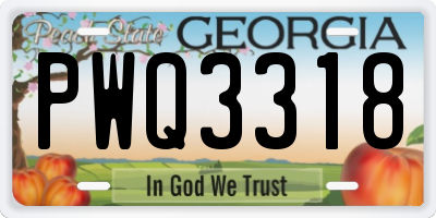 GA license plate PWQ3318