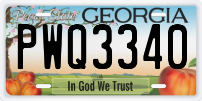 GA license plate PWQ3340