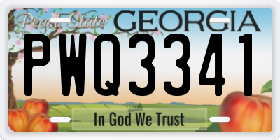 GA license plate PWQ3341