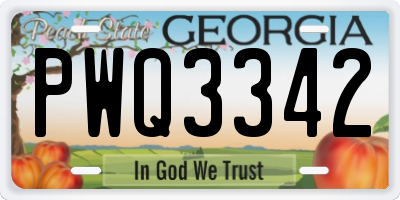 GA license plate PWQ3342