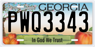 GA license plate PWQ3343