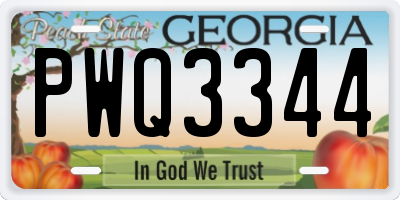 GA license plate PWQ3344