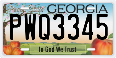 GA license plate PWQ3345
