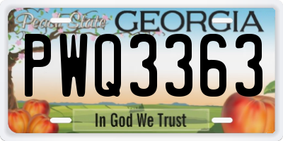 GA license plate PWQ3363