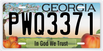 GA license plate PWQ3371