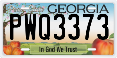 GA license plate PWQ3373