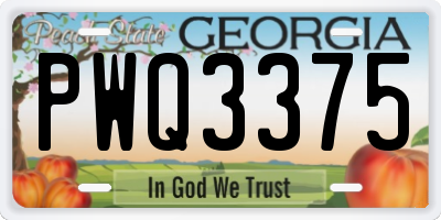 GA license plate PWQ3375