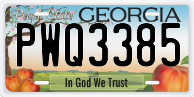 GA license plate PWQ3385
