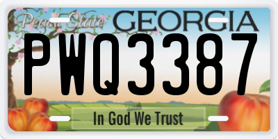 GA license plate PWQ3387