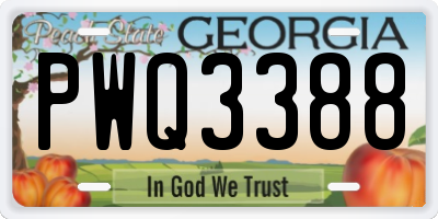 GA license plate PWQ3388