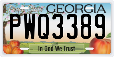 GA license plate PWQ3389
