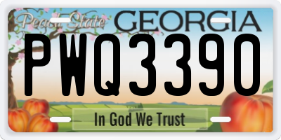 GA license plate PWQ3390