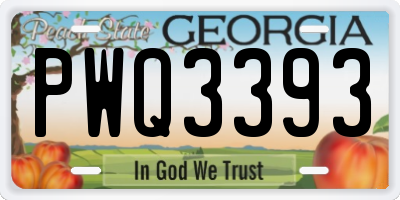 GA license plate PWQ3393