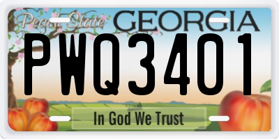 GA license plate PWQ3401