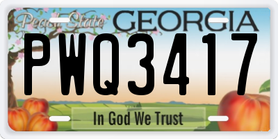 GA license plate PWQ3417