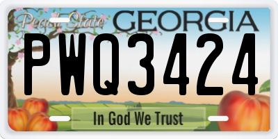 GA license plate PWQ3424
