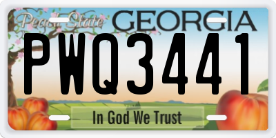 GA license plate PWQ3441