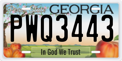 GA license plate PWQ3443