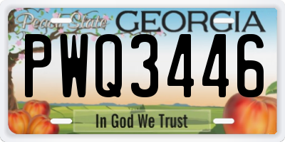 GA license plate PWQ3446