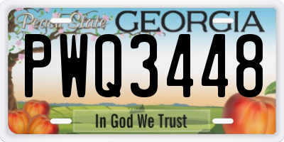 GA license plate PWQ3448