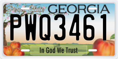GA license plate PWQ3461