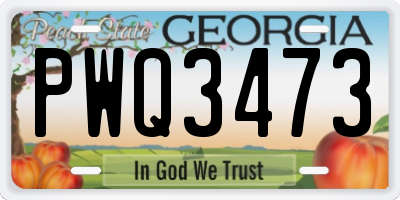 GA license plate PWQ3473