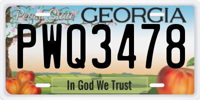 GA license plate PWQ3478