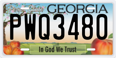 GA license plate PWQ3480