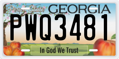 GA license plate PWQ3481