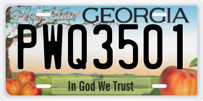 GA license plate PWQ3501