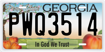 GA license plate PWQ3514