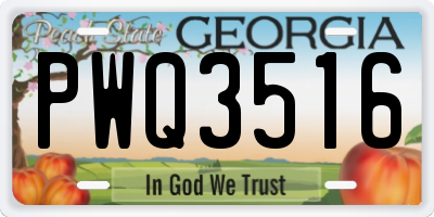 GA license plate PWQ3516
