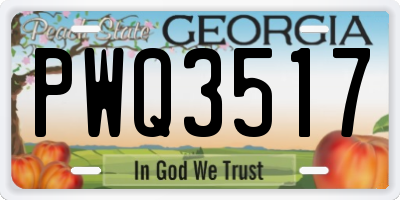 GA license plate PWQ3517
