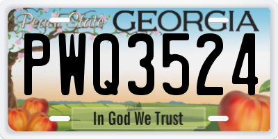 GA license plate PWQ3524