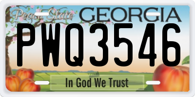 GA license plate PWQ3546