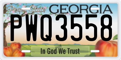 GA license plate PWQ3558
