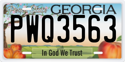 GA license plate PWQ3563