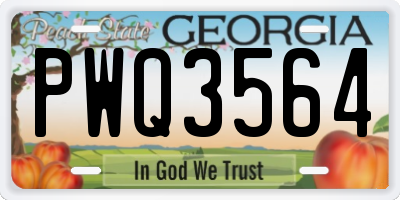 GA license plate PWQ3564